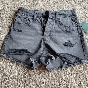 Wild Fable Gray Distressed Jean Shorts
